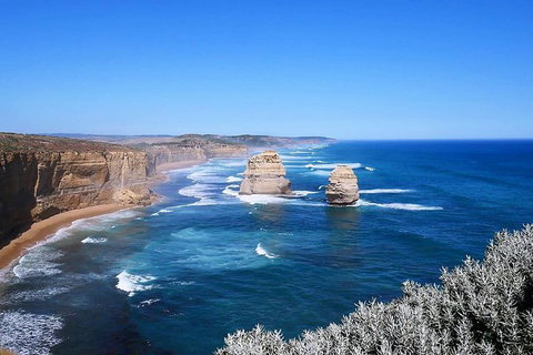Great Ocean Road Small-Group Ecotour From Melbourne - Attractions Brisbane 31