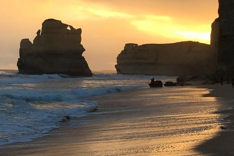 Great Ocean Road Small-Group Ecotour From Melbourne - Attractions Brisbane 33