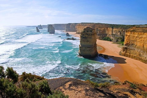 Great Ocean Road Small-Group Ecotour From Melbourne - Attractions Brisbane 26