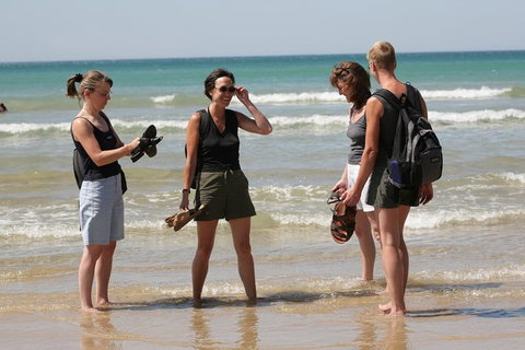 Great Ocean Road Small-Group Ecotour From Melbourne - Attractions Brisbane 34