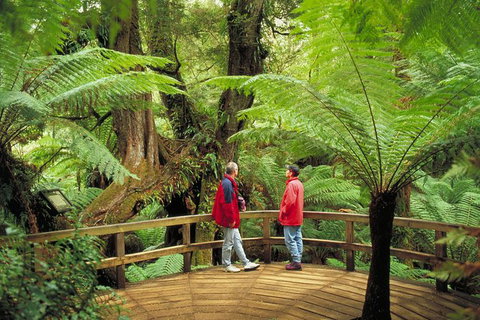 Great Ocean Road Small-Group Ecotour From Melbourne - Attractions Brisbane 28