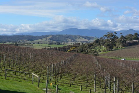 2-Day Yarra Valley Wine Tour With Luxury Vineyard Resort Stay - Attractions Brisbane 2