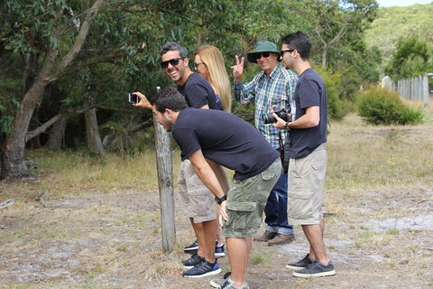 Small-Group Great Ocean Road Day Trip From Melbourne - Attractions Brisbane 10