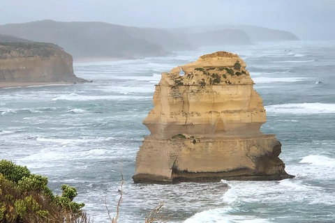 Great Ocean Road Private Tour - Attractions Brisbane 4