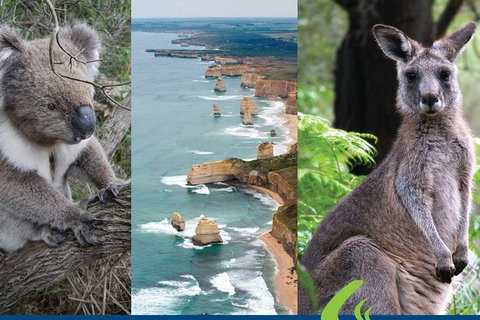 2 Day Great Ocean Road Tour From Melbourne - Attractions Brisbane 15