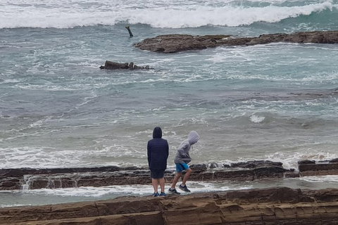 2 Day Great Ocean Road Tour From Melbourne - Attractions Brisbane 4