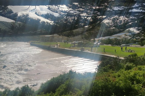 2 Day Great Ocean Road Tour From Melbourne - Attractions Brisbane 20