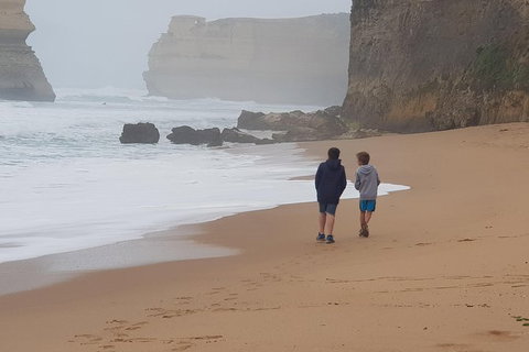 2 Day Great Ocean Road Tour From Melbourne - Attractions Brisbane 23