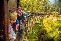 Puffing Billy Steam Train  Healesville Wildlife Sanctuary Tour From Melbourne