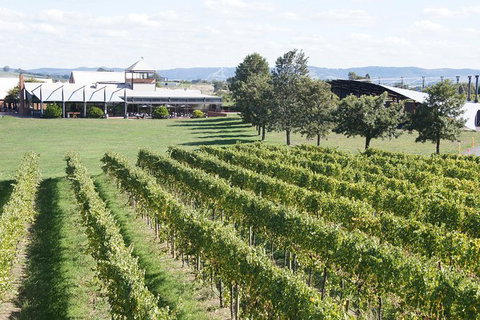 Puffing Billy Train And Yarra Valley Food And Wine Day Trip From Melbourne - Attractions Brisbane 0
