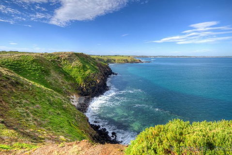 Phillip Island Penguin Parade Entry And Express Shuttle From Melbourne - Attractions Brisbane 1