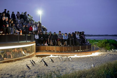 Small-Group Phillip Island Day Trip From Melbourne With Penguin Plus Viewing - Attractions Brisbane 0