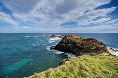 Small-Group Phillip Island Day Trip From Melbourne With Penguin Plus Viewing - Attractions Brisbane 6