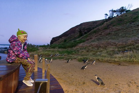 Small-Group Phillip Island Day Trip From Melbourne With Penguin Plus Viewing - Attractions Brisbane 14