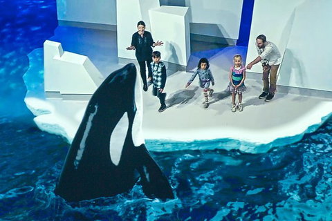Small-Group Phillip Island Day Trip From Melbourne With Penguin Plus Viewing - Attractions Brisbane 10
