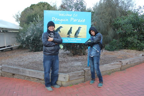 Phillip Island Tour From Melbourne - Attractions Brisbane 15