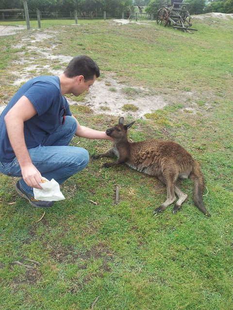Phillip Island Tour From Melbourne - Attractions Brisbane 24