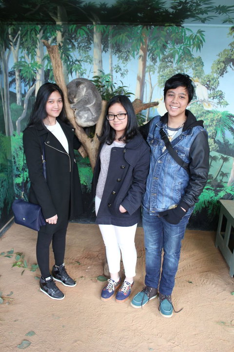Phillip Island Tour From Melbourne - Attractions Brisbane 14