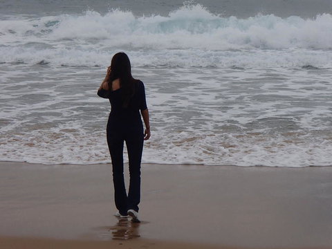 Phillip Island Tour From Melbourne - Attractions Brisbane 21
