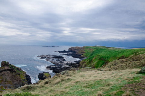 Phillip Island Tour From Melbourne - Attractions Brisbane 17