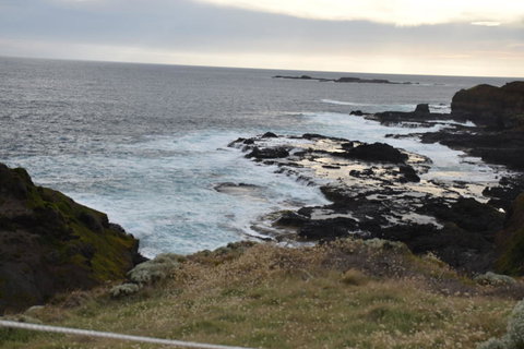 Phillip Island Tour From Melbourne - Attractions Brisbane 5