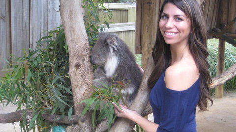 Phillip Island Tour From Melbourne - Attractions Brisbane 20