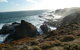 Phillip Island Penguin Parade Evening Tour - thumb 2