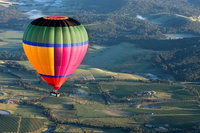 Yarra Valley Balloon Flight and Winery Tour