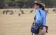 Koalas And Kangaroo In The Wild Tour From Melbourne - thumb 30