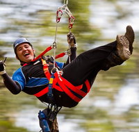 12 Apostles and Otway Fly Zipline Day Trip from Melbourne - Attractions Brisbane