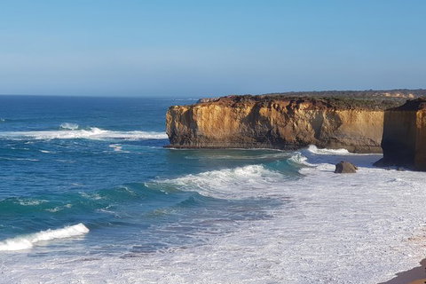 12 Apostles And Otway Fly Zipline Day Trip From Melbourne - Attractions Brisbane 7