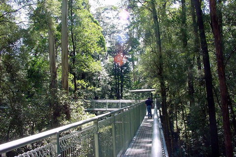 12 Apostles And Otway Fly Zipline Day Trip From Melbourne - Attractions Brisbane 10