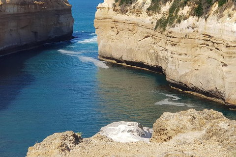 12 Apostles And Otway Fly Zipline Day Trip From Melbourne - Attractions Brisbane 6