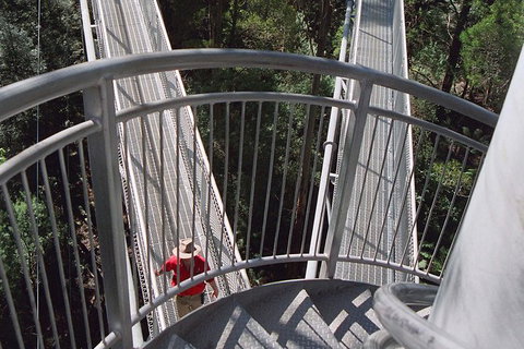 12 Apostles And Otway Fly Zipline Day Trip From Melbourne - Attractions Brisbane 4