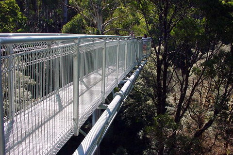 12 Apostles And Otway Fly Zipline Day Trip From Melbourne - Attractions Brisbane 3
