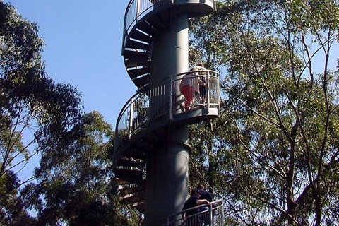 12 Apostles And Otway Fly Zipline Day Trip From Melbourne - Attractions Brisbane 13