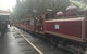 Puffing Billy, Moonlit Sanctuary & Penguins Day Tour - thumb 2