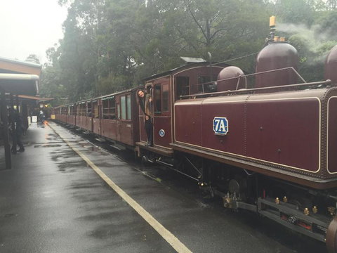 Puffing Billy, Moonlit Sanctuary & Penguins Day Tour - Attractions Brisbane 2