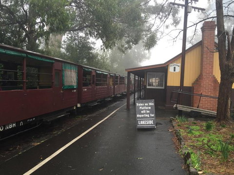 Puffing Billy, Moonlit Sanctuary & Penguins Day Tour - Attractions Brisbane 3