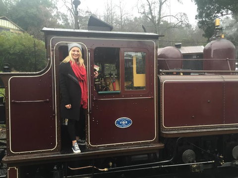 Puffing Billy, Moonlit Sanctuary & Penguins Day Tour - Attractions Brisbane 5