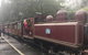 Puffing Billy, Moonlit Sanctuary & Penguins Day Tour - thumb 13