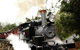 Puffing Billy, Moonlit Sanctuary & Penguins Day Tour - thumb 9