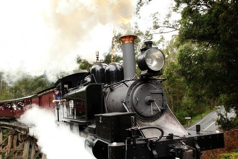 Puffing Billy, Moonlit Sanctuary & Penguins Day Tour - Attractions Brisbane 9