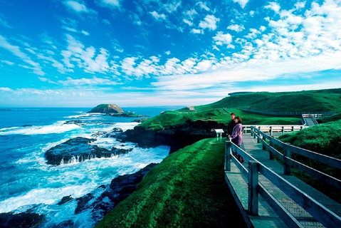 Puffing Billy, Moonlit Sanctuary & Penguins Day Tour - Attractions Brisbane 11