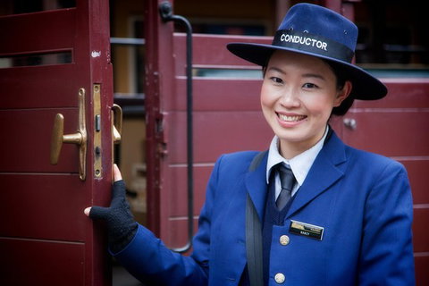 Puffing Billy, Moonlit Sanctuary & Penguins Day Tour - Attractions Brisbane 14