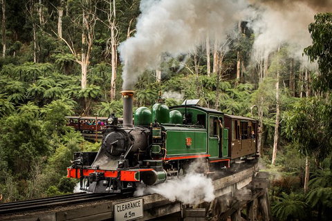 Puffing Billy, Moonlit Sanctuary & Penguins Day Tour - Attractions Brisbane 6