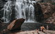 Small Group - Grampians Hiking Day Tour From Melbourne - thumb 6