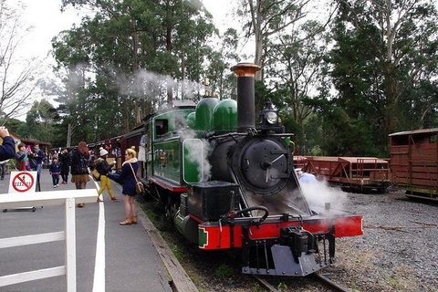 Puffing Billy Train With Optional Penguin Parade Or Melbourne City Tour - Attractions Brisbane 0