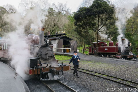 Puffing Billy Train With Optional Penguin Parade Or Melbourne City Tour - Attractions Brisbane 2