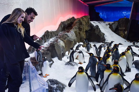 Penguin Passport At SEA LIFE Melbourne Aquarium - Attractions Brisbane 0